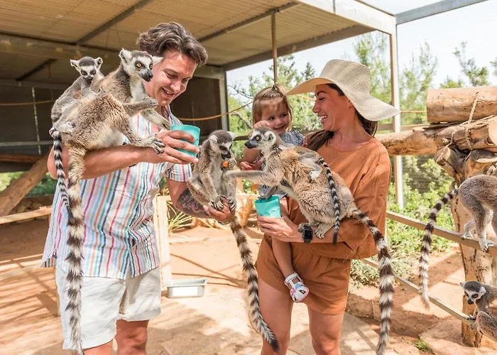 Cap St Georges 5* פאהיה